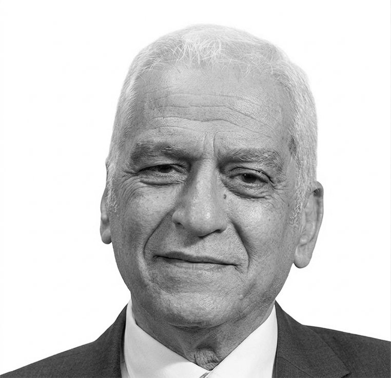 أ. د. عماد عبد السلام رؤوف <br>  <br>   (1948م - 2021م) <br>  <br>(العراق)